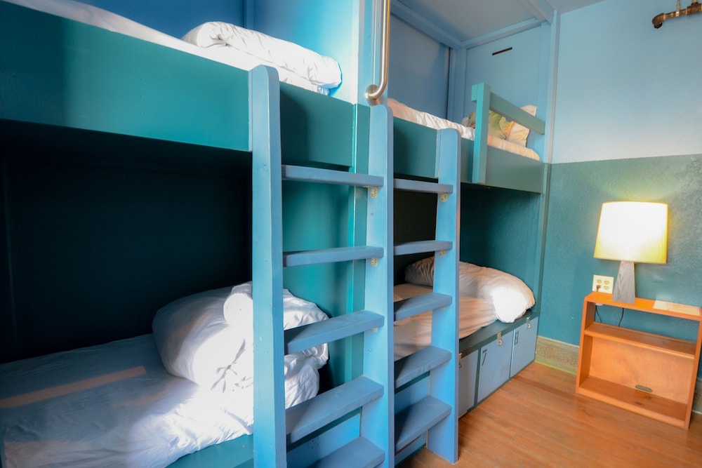Michie Hostel - photo 13