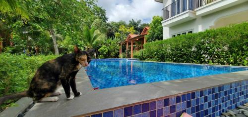 AnAn Boutique Bungalows with Private Kitchen — 4-Star Luxury Hotel in Phu Quoc, Vietnam
