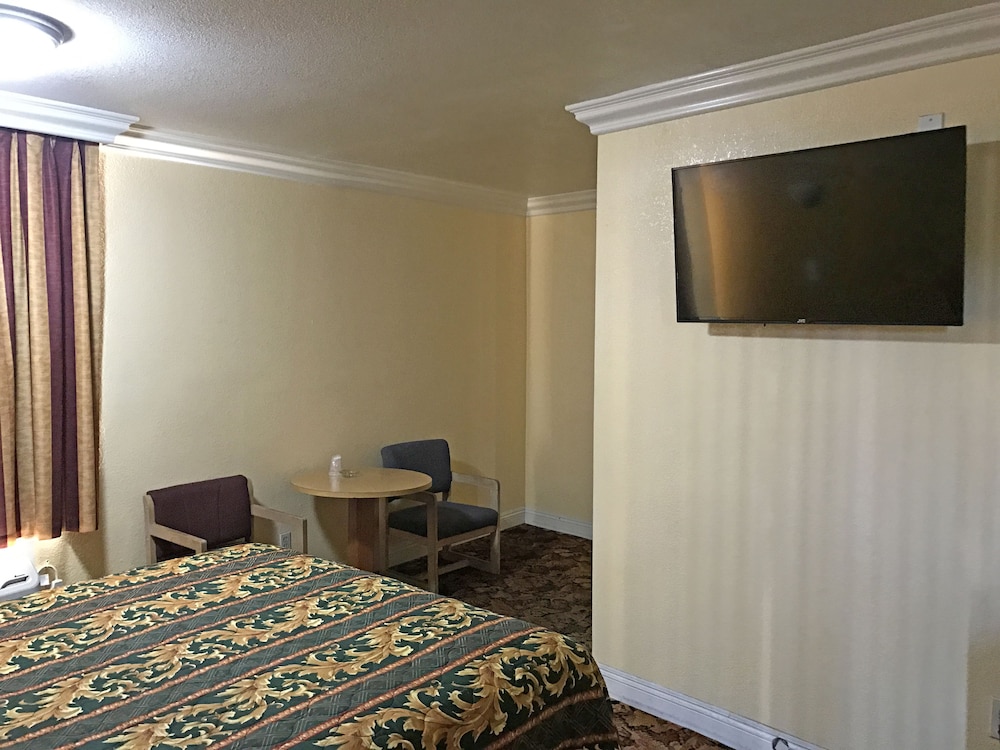 Satellite Motel - photo 3