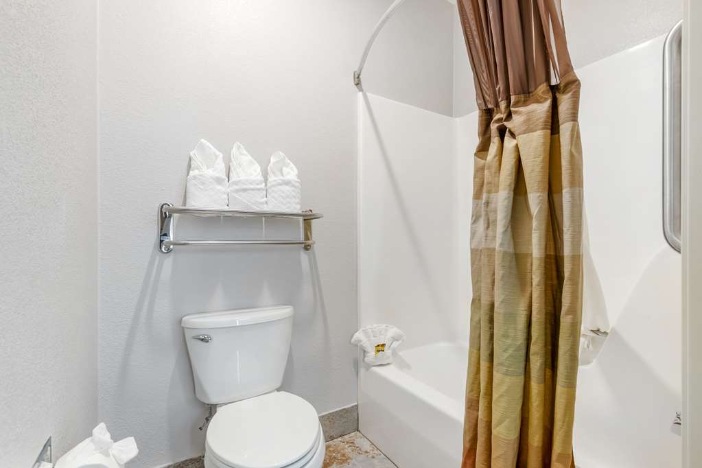 Best Western Plus Des Moines West Inn & Suites - photo 30
