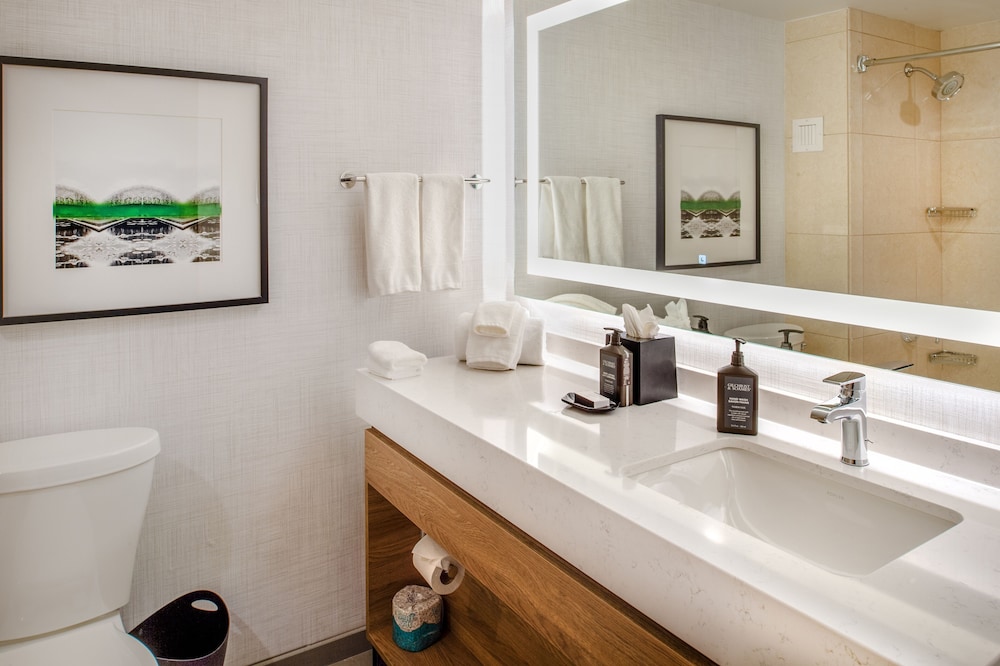 Sheraton Westport Plaza Hotel St. Louis - photo 34