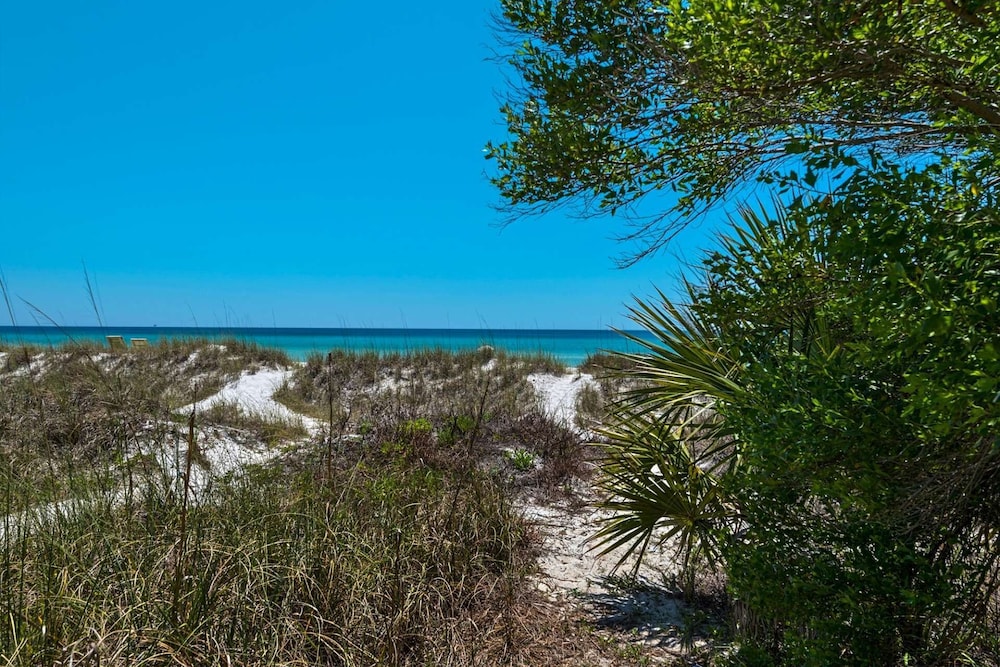 Emerald Winds - photo 33