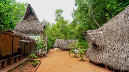 Nebula Nest Cafe & Hostel — 5-Star Luxury Hotel in Auroville, India