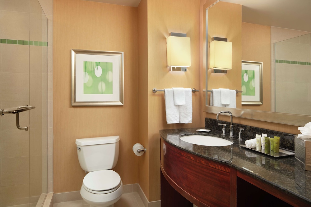Hilton Orlando - photo 42
