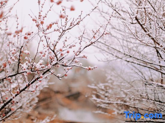 Qiandao Lake Wenyuan Lion City Vipusea Hotel in Hangzhou, People's Republic of China