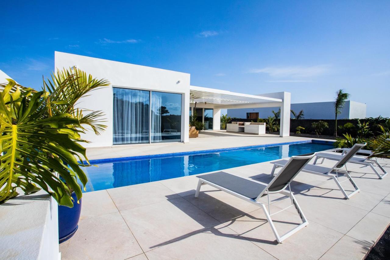 Golf Palms in Costa Teguise, Spain