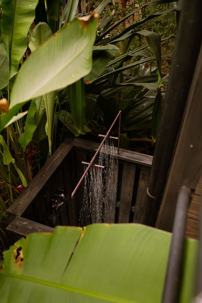 Finca Victoria - photo 113