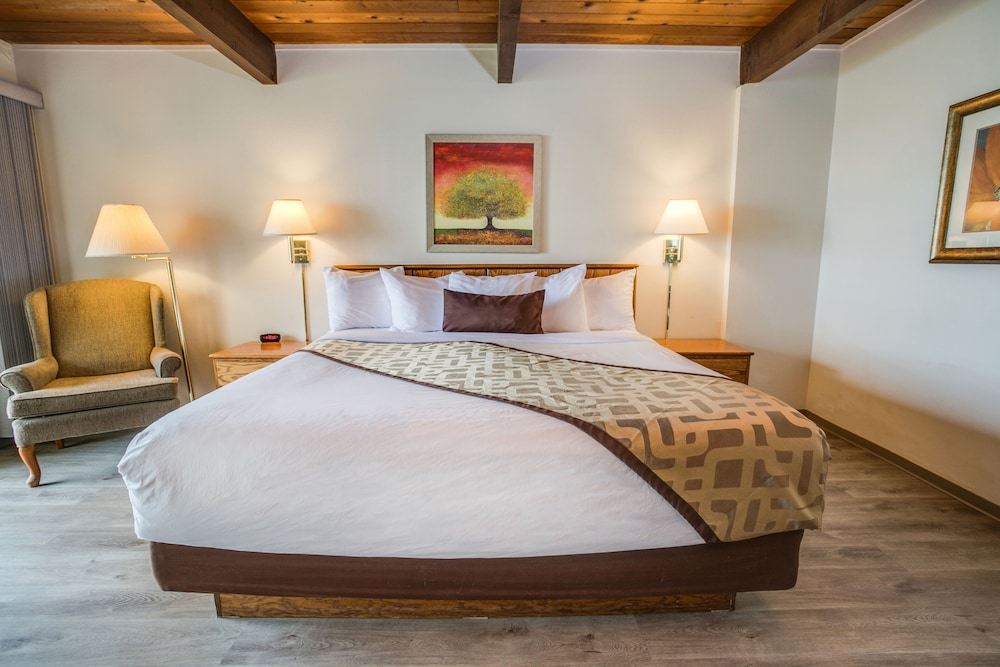 Adobe Resort - photo 6