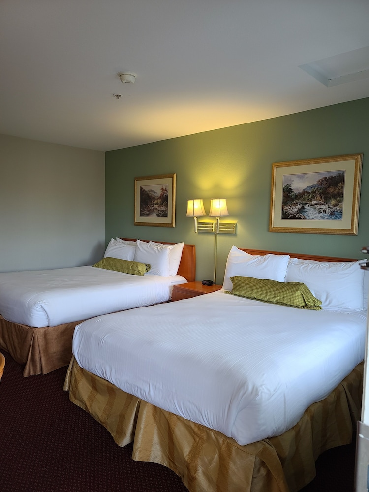 Tulip Inn - featured photo
