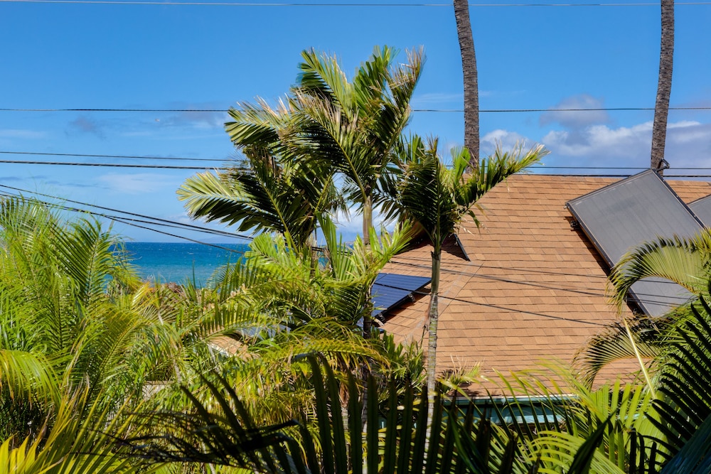 Kohea Kai Maui - photo 44