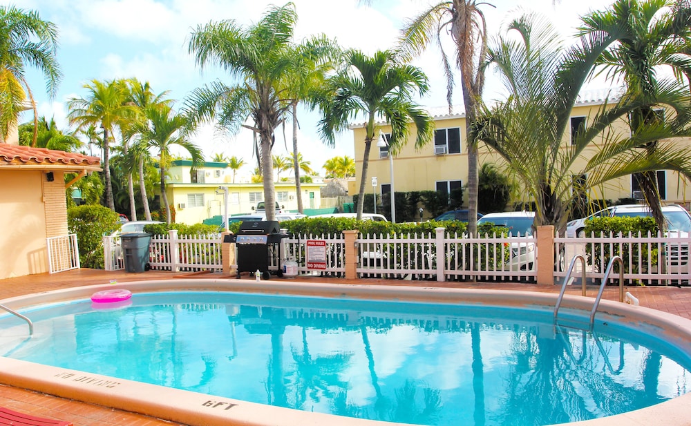 Hollywood Beach Swan - photo 21