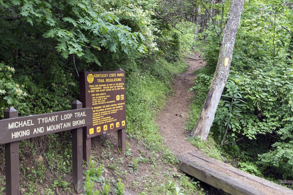 Greenbo Lake State Resort Park - photo 18