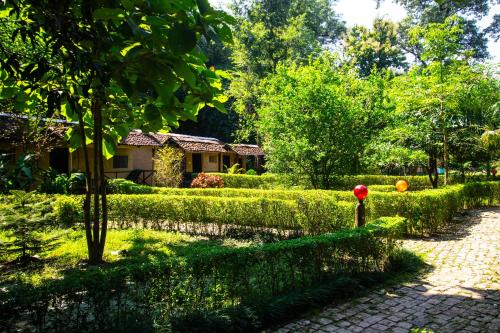 Wild Planet Eco Retreat in Bardiya, Nepal