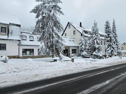 Familien Hotel Am Tränkbachtal Frauenwald pet-friendly hotel Frauenwald
