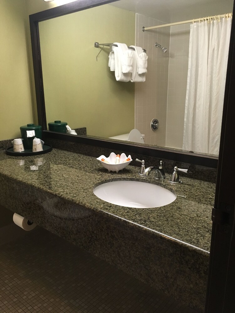 Windemere Hotel & Conference - photo 16