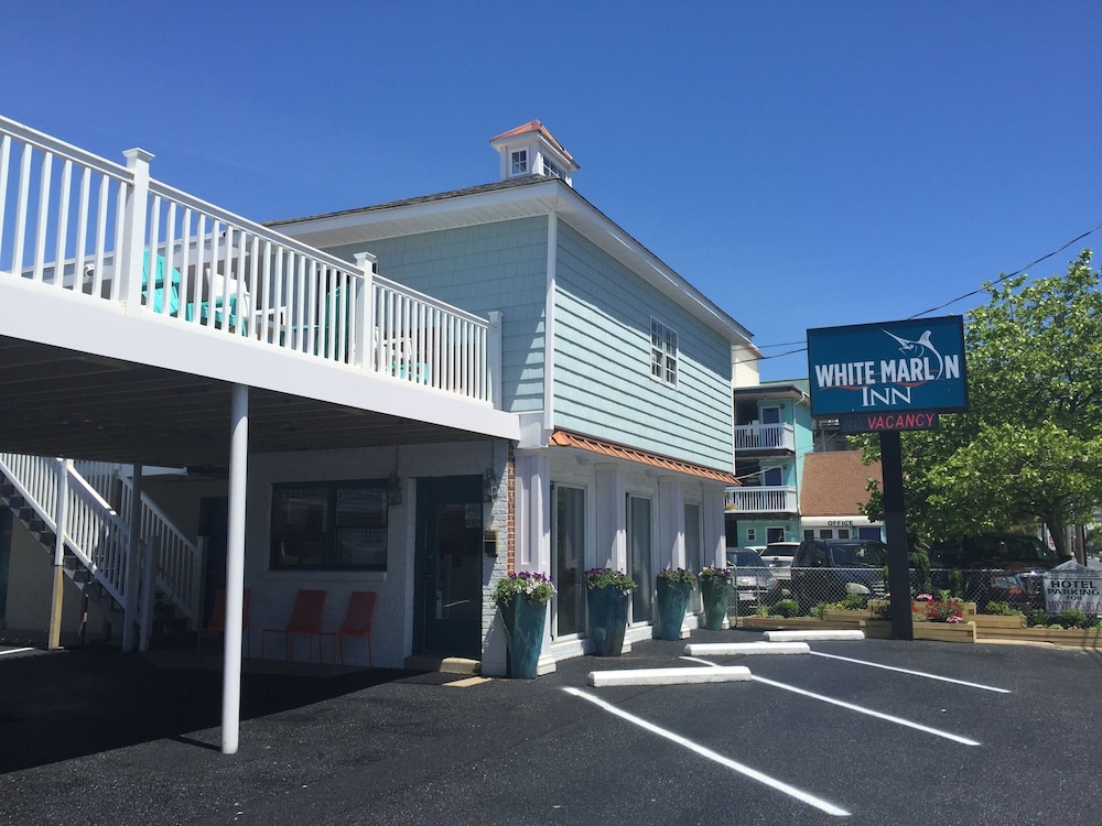 White Marlin Inn - photo 16
