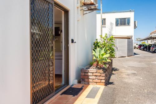 Driftwood on the Beach in Yeppoon, Australia