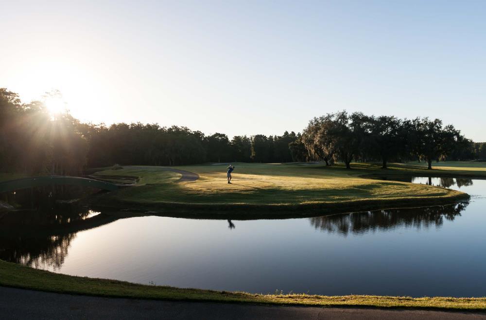 Innisbrook Resort — hotel in Palm Harbor