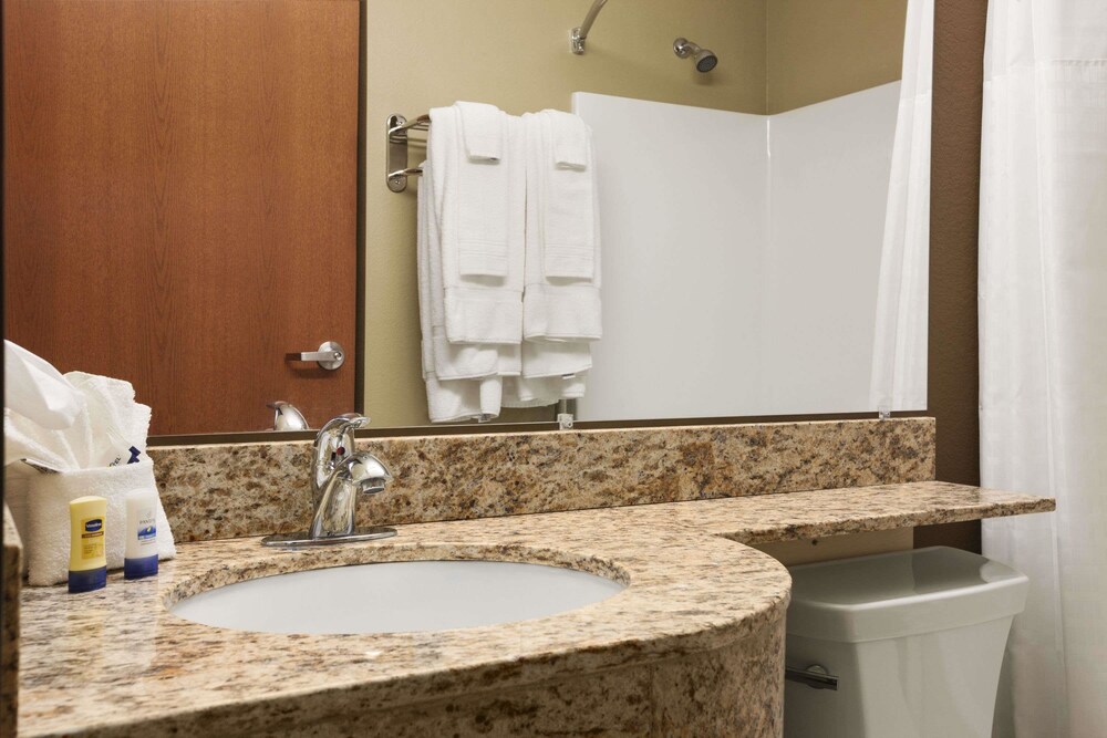 Microtel Inn & Suites by Wyndham Pleasanton - photo 15