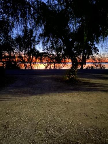 Bonney Shores