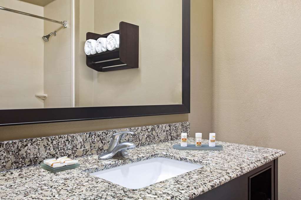 La Quinta Inn & Suites by Wyndham Pearsall - photo 20