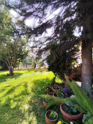 Casa Campo Isabel Quinteros — Chaclacayo — photo 4