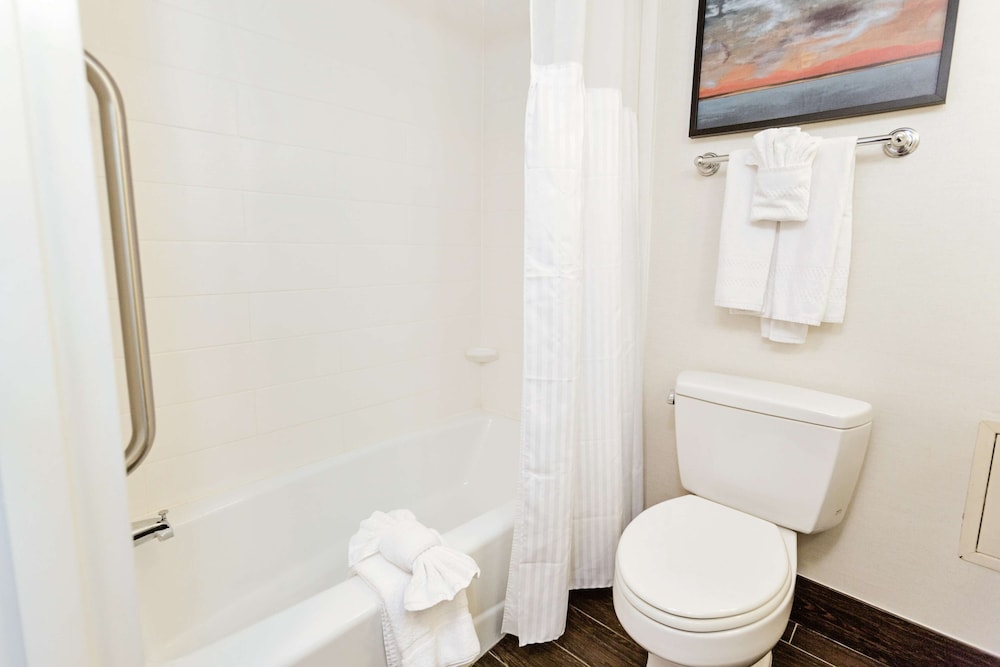 Hilton Garden Inn Temple Medical Center - photo 28