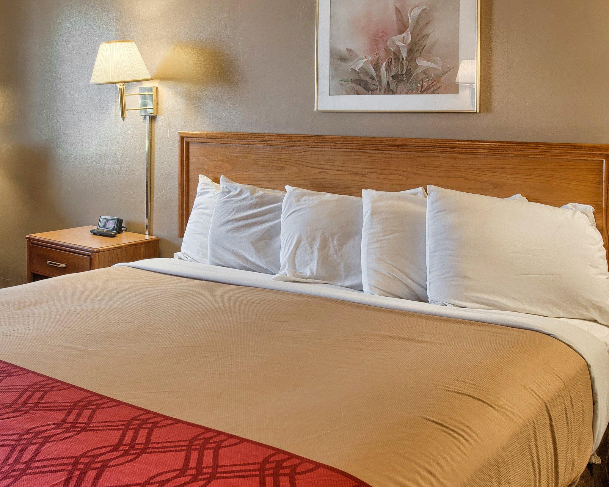 Rodeway Inn Richmond South - photo 18