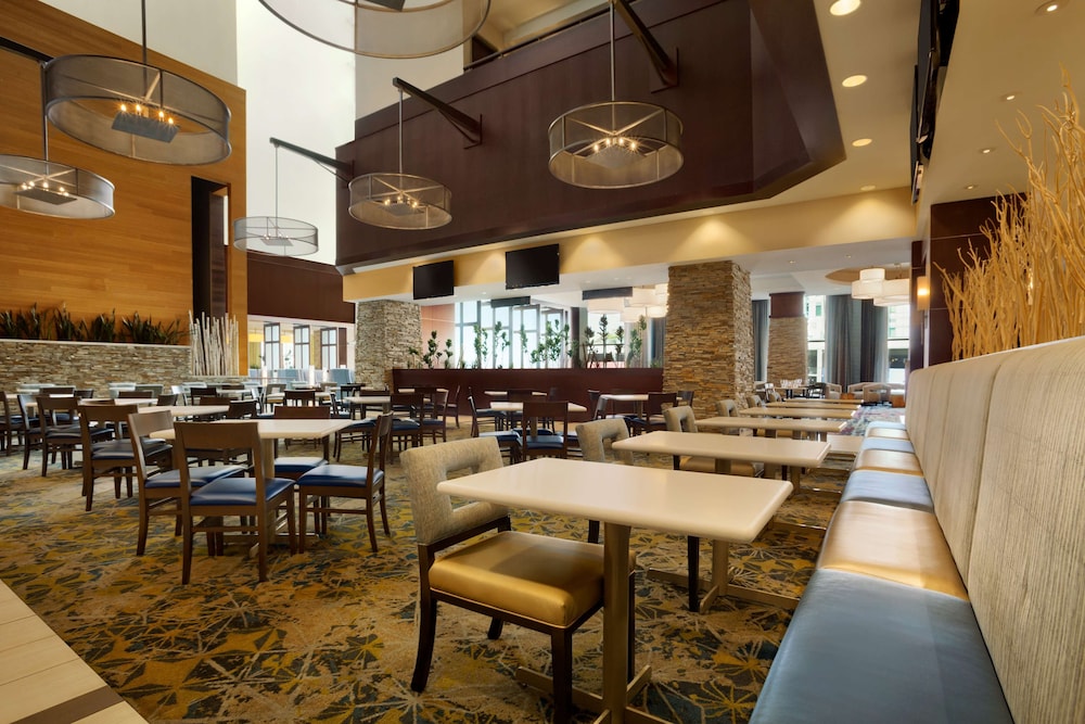 Embassy Suites by Hilton Denver Downtown Convention Center - photo 29