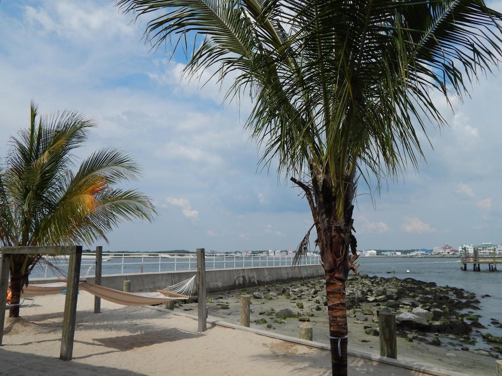 Oceanic Motel - photo 38