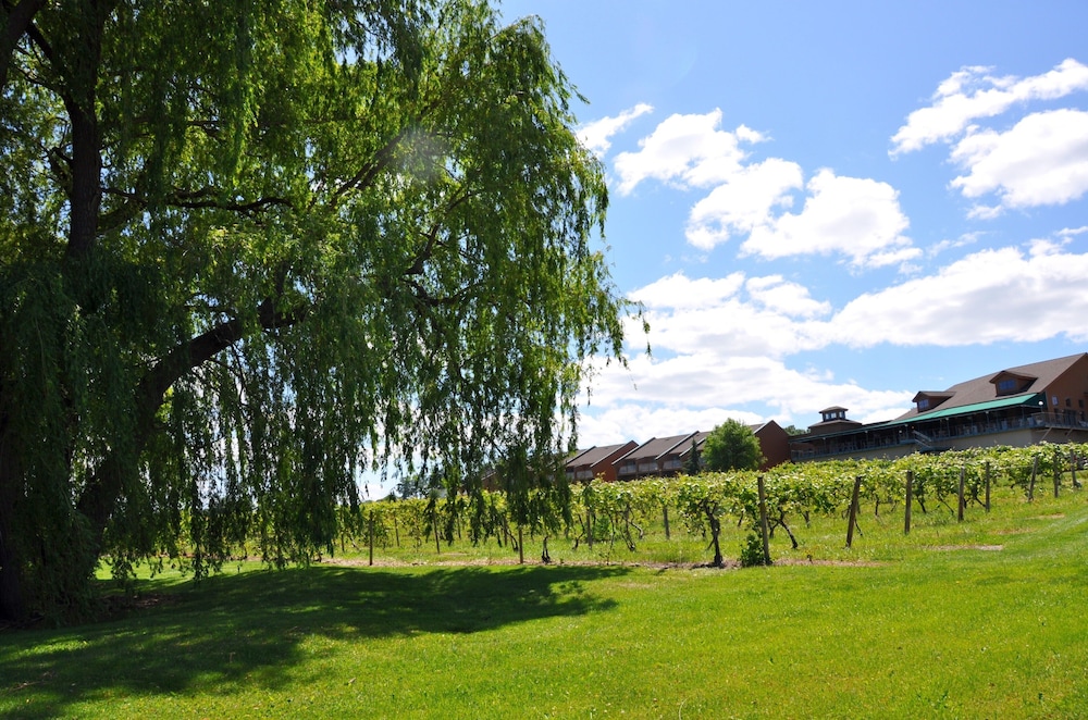 The Inn at Glenora Wine Cellars - photo 57