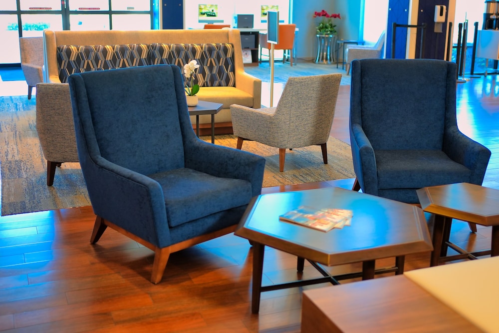 Holiday Inn Express Hotel & Suites Tampa Northwest Oldsmar by IHG - photo 64