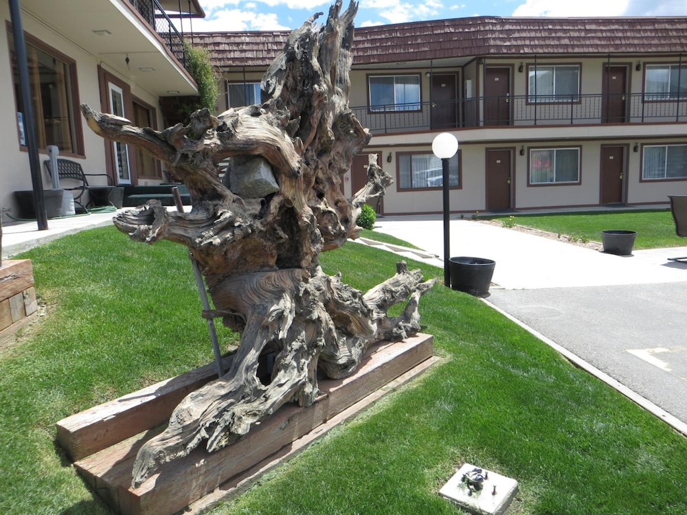 Bristlecone Motel - photo 47