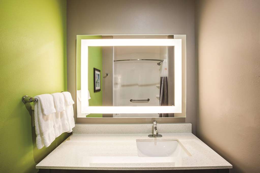 La Quinta Inn & Suites by Wyndham Baton Rouge Port Allen - photo 9