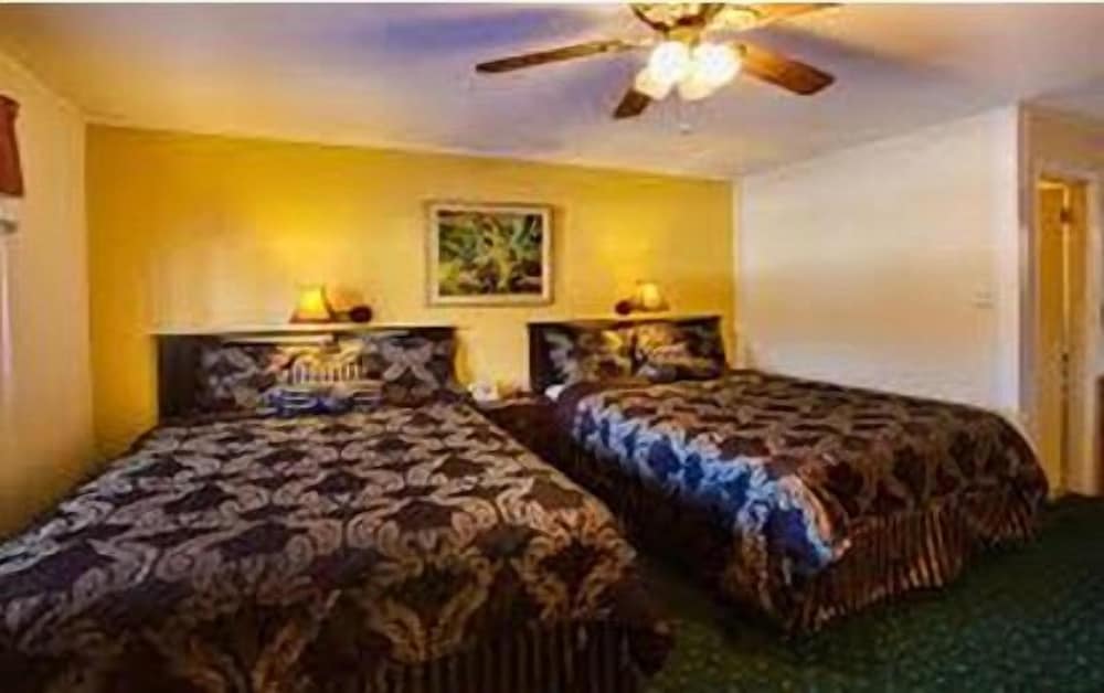 Down Towner Inn - photo 4