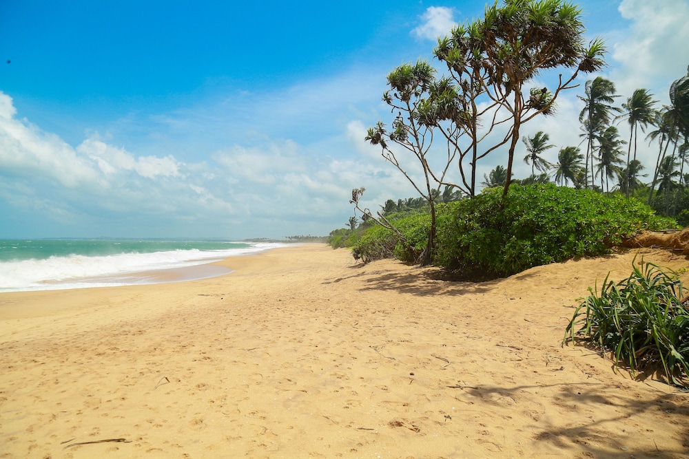 Heaven in Satin Woods Rekawa in Tangalle, Sri Lanka