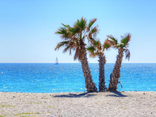 Rosa Nautica 3 — 4-Star Luxury Hotel in La Herradura, Spain