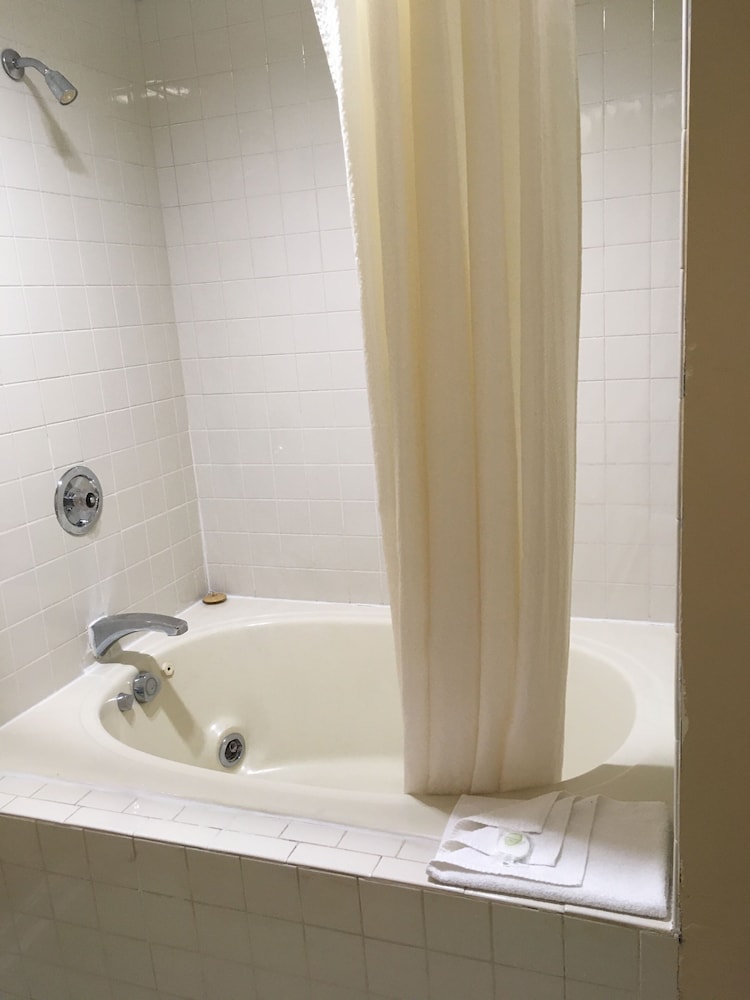 Gold Star Inn & Suites - photo 20