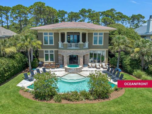 23 Black Skimmer in Hilton Head Island, United States
