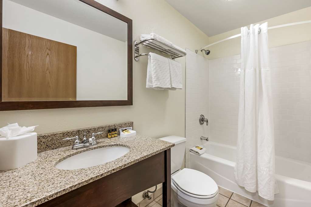Best Western Plus Eagle Vail Airport - photo 32