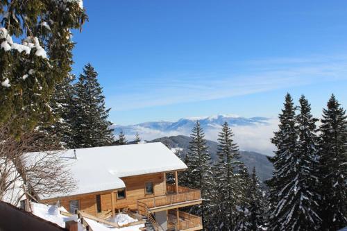 Sonnenblickhütte — Bad Sankt Leonhard Im Lavanttal — photo 3
