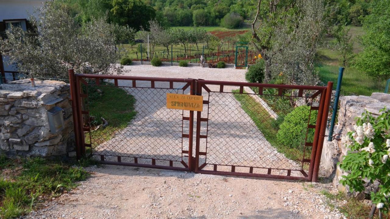 Spignoviza — Kanfanar — photo 3