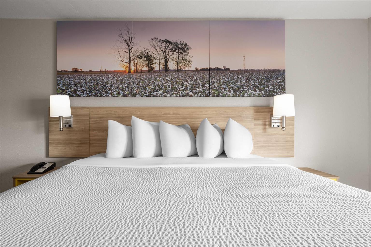 Days Inn by Wyndham Alma - photo 23