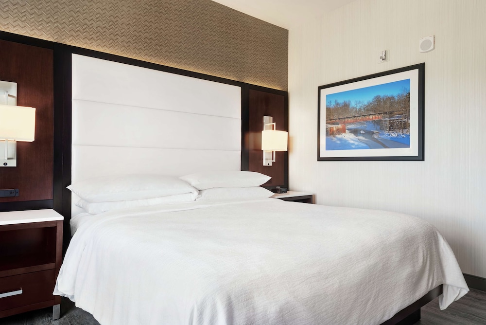 Embassy Suites by Hilton Noblesville Indianapolis Convention Center - photo 10