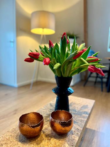 Vakantiehuis Achter de Duinen — Castricum — photo 4