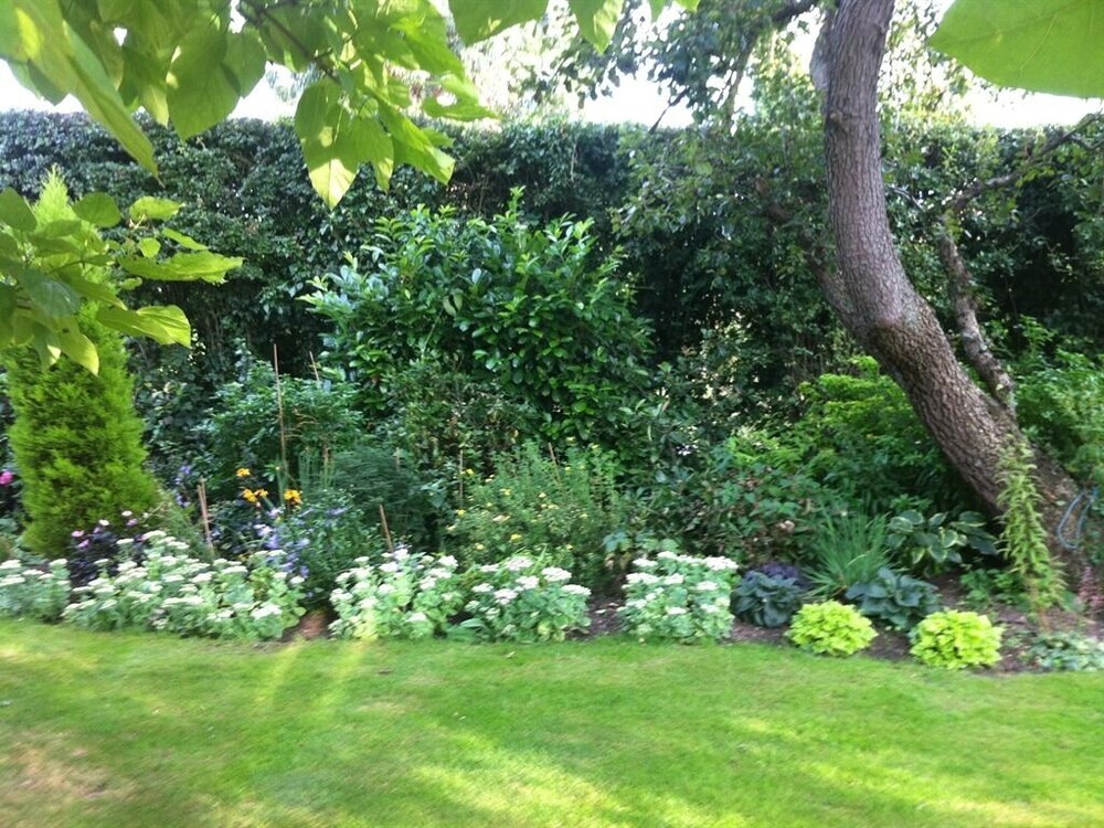 Bonningtons — Bishops Stortford — photo 4