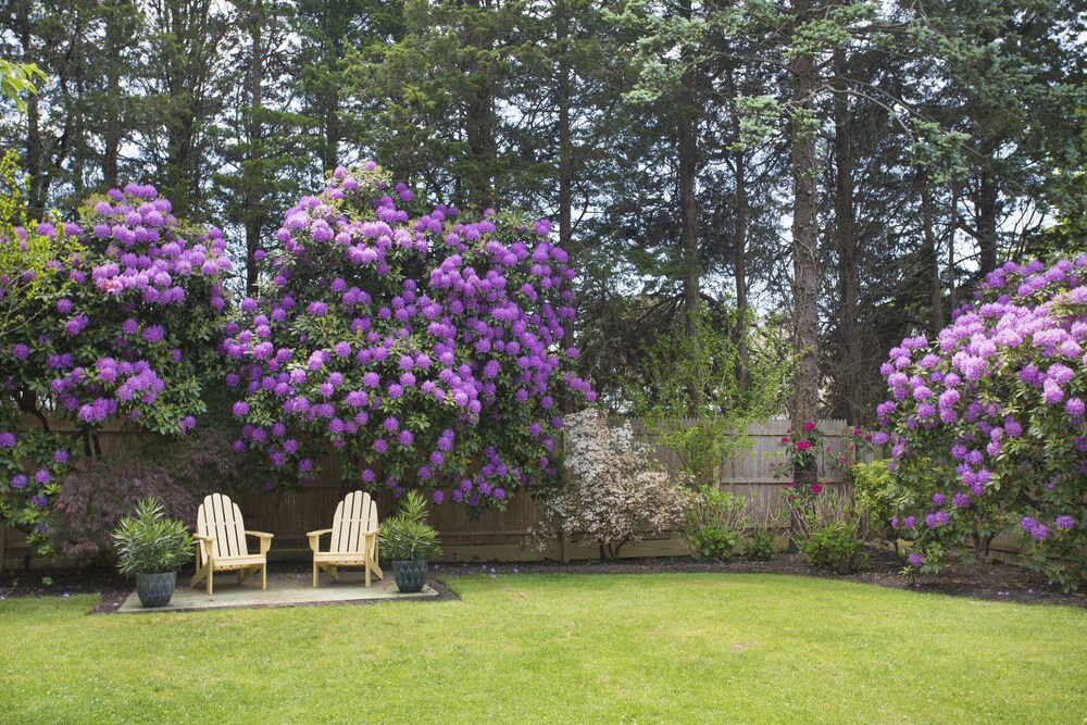 Journey East Hampton - photo 27