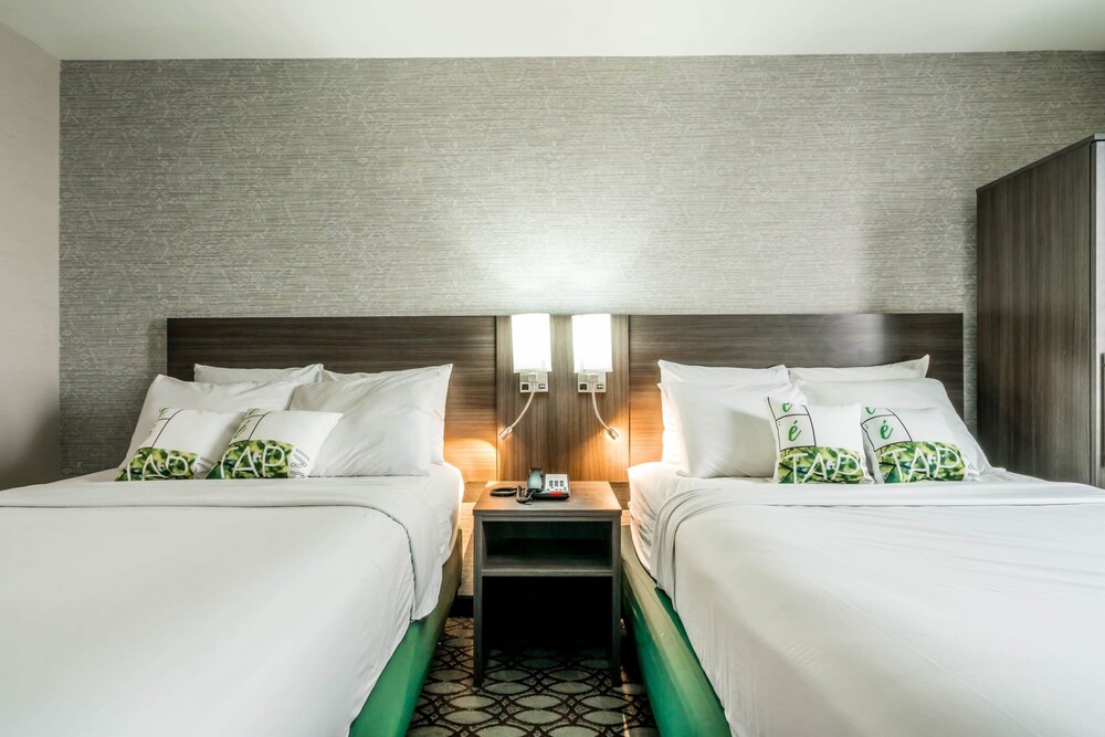 LeTap Hotel near AirTrain JFK Airport - photo 14