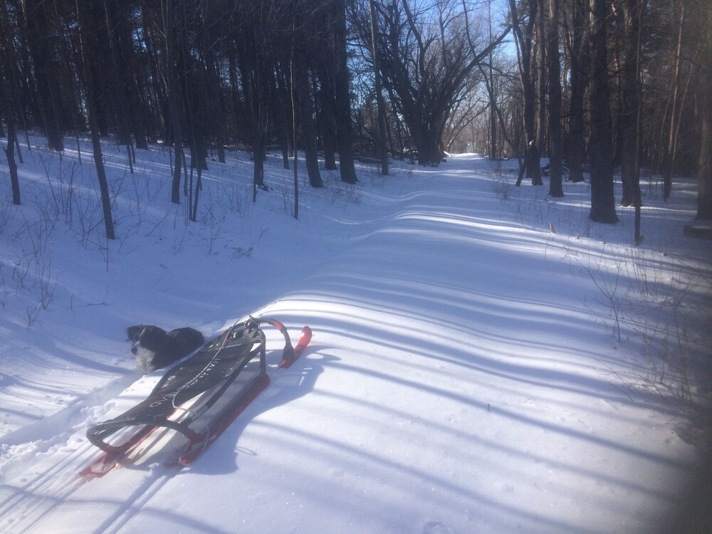 Mt. Philo Inn - photo 113