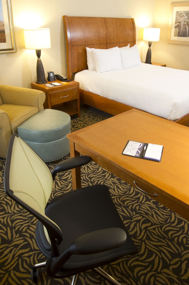 Hilton Garden Inn Cedar Falls - photo 10